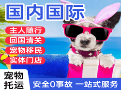 乌审旗嘎鲁图空运国际宠物托运 【国